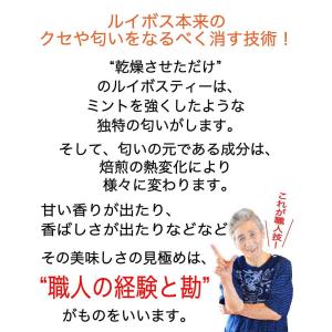 ルイボスティー 大容量 水出し 100包 ティ...の詳細画像4