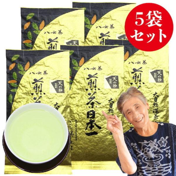 新茶 2025 八女茶 お茶 緑茶 煎茶 茶葉 深蒸し茶 日本茶 カテキン  高級茶 100g 5袋...
