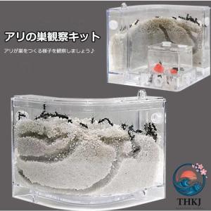 アリの巣 あり観察キット 飼育ケース 砂 自由研...の商品画像