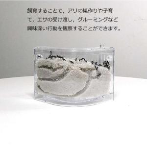 アリの巣 あり観察キット 飼育ケース 砂 自由...の詳細画像1