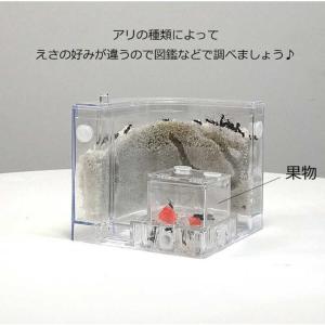 アリの巣 あり観察キット 飼育ケース 砂 自由...の詳細画像2