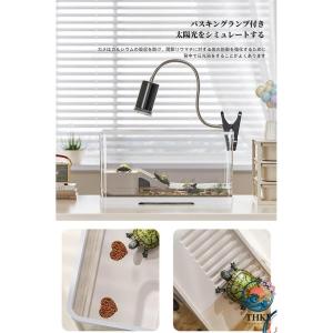 亀の飼育ケース 亀 水槽 大きい カメ用水槽 ...の詳細画像2