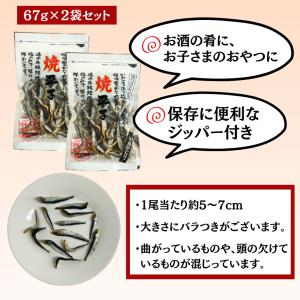 国産焼き平子いわし 67g×2パック 送料無料...の詳細画像2