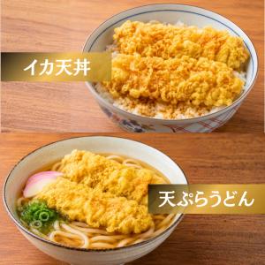 在庫処分 イカの天ぷら 約1kg 20枚 国内...の詳細画像4