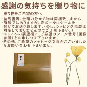 ミニ貝柱500g (100g×5袋) 生食用 ...の詳細画像3