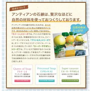 無添加手作り石鹸アンティアン「お試しセット」(...の詳細画像5