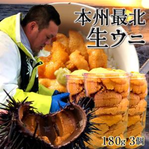 うに 生うに180g×3個 |漁師の生ウニ 瓶詰め 大容量