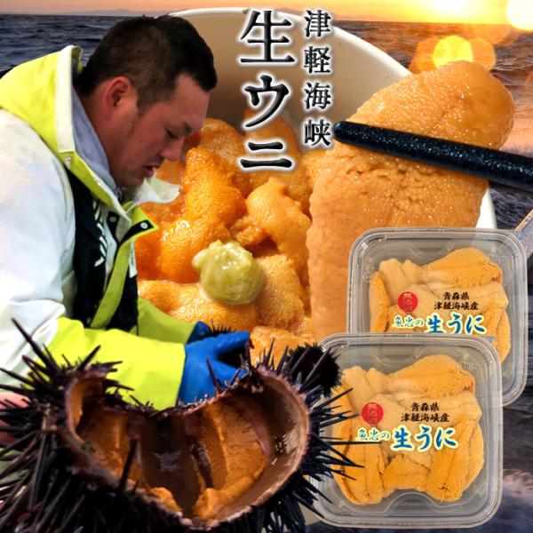 極上生うに＼新物／国産ウニ 塩水漬け70g×2個 最北漁師の生うに 最高峰の旨味 青森県産 津軽海峡...