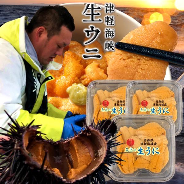 極上生うに＼新物／国産ウニ 塩水漬け70g×3個 最北漁師の生うに 最高峰の旨味 青森県産 津軽海峡...