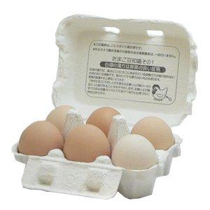 自然の味そのまんま 純国産ごとうさくらの卵(た...の詳細画像1