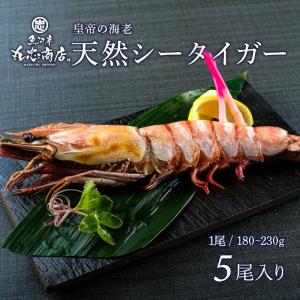 天然シータイガー 12尾 (1尾 180〜230g) 皇帝の海老 天然 ブラック