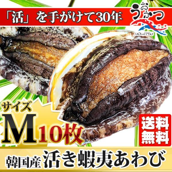 活蝦夷あわびМ（70/80g）10枚入 お中元・お歳暮ギフトにも最適 送料無料 BBQに！
