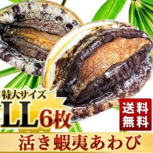 活蝦夷あわびＬＬ（120/130g）6枚入 BBQに！ギフトにも最適