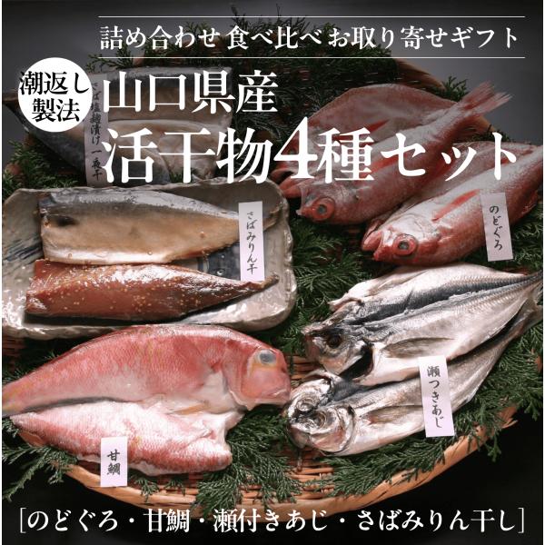 【潮返し製法】山口県産 活干物4種セット（のどぐろ・甘鯛・瀬付きあじ・さばみりん干し）｜詰め合わせ ...