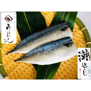 地の海水と塩を使った活干物　塩さば一夜干し２枚