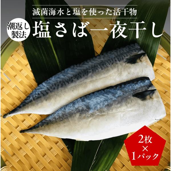【お試し】潮返し製法 塩さば一夜干し 2枚×1P〈計2枚〉｜焼くだけ 朝食 小分け 冷凍