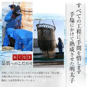 お中元 2026 明太子 めんたいこ 訳あり ...の詳細画像5