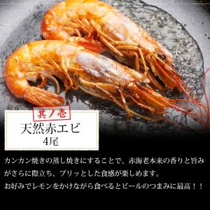 カンカン焼き ホタテ エビ 海鮮 バーベキュー...の詳細画像2