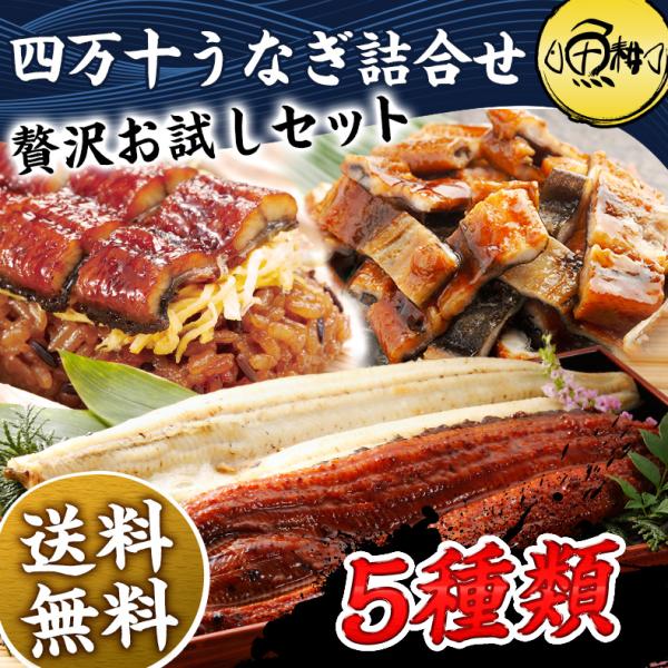 うなぎ 国産 四万十 蒲焼き 白焼き 詰め合わせ 5種セット プレゼント ギフト ウナギ 鰻