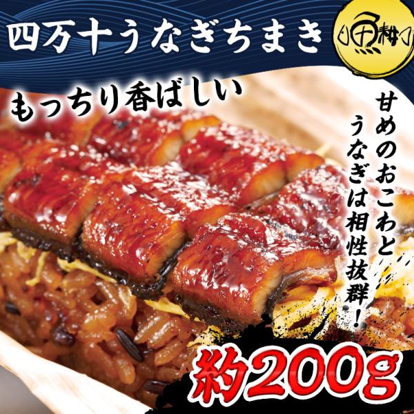 うなぎ 四万十うなぎ ちまき 国産 プレゼント ギフト