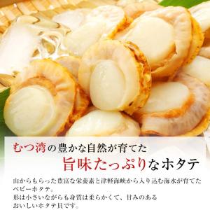 ベビーホタテ 1kg ほたて 青森県産 ボイル...の詳細画像1