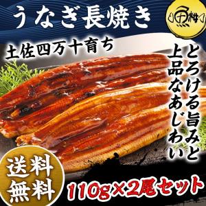 母の日 2024 うなぎ 国産 最高級 四万十うなぎ 蒲焼き 長焼き 2尾セット プレゼント ギフト  お取り寄せグルメ 鰻