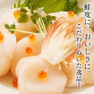 ホタテ 貝柱 ほたて 帆立 北海道産 刺身用 ...の詳細画像2