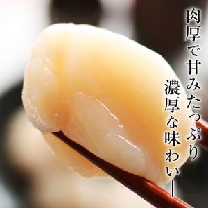 ホタテ 貝柱 ほたて 帆立 北海道産 刺身用 ...の詳細画像3