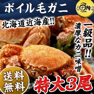 北海道近海産 特大毛ガニ ボイル済み 500ｇ×3尾(約1.5kg) 送料無料 カニ 　