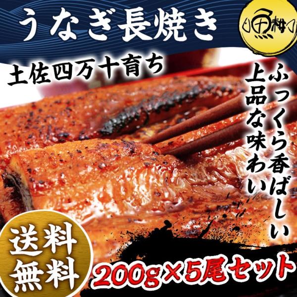うなぎ 国産 最高級 四万十うなぎ 超特大サイズ 蒲焼き 長焼き 約200g×5尾 プレゼント ギフ...