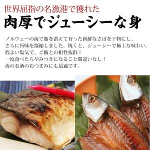 干物 無添加 特大 さば開き 魚 笹の葉干物 サバの詳細画像1