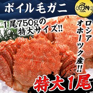 ふるさと納税 森町 カネキチ ブランド復活 浜ゆで毛ガニ3尾 さとふる 通販 Yahoo ショッピング