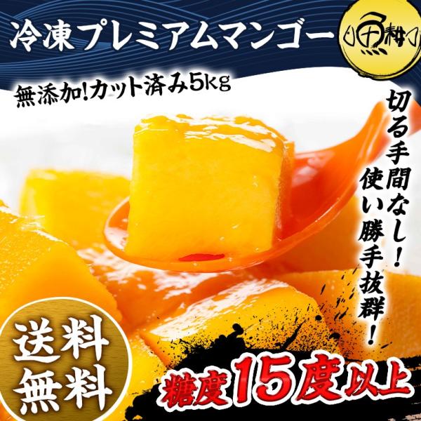 プレミアムマンゴー 冷凍 5kg 無添加 ベトナム産 500g×10 カット済み フルーツ