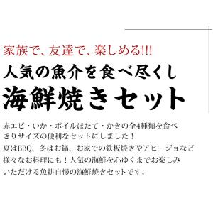 海鮮 バーベキュー セット 4種 20品 BB...の詳細画像1