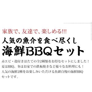 海鮮 バーベキュー セット 2種 20品 BB...の詳細画像1