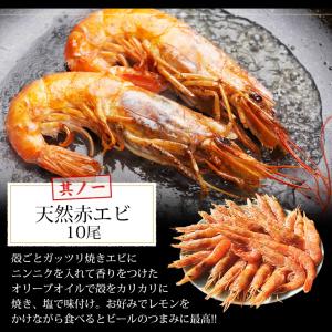 海鮮 バーベキュー セット 2種 20品 BB...の詳細画像2