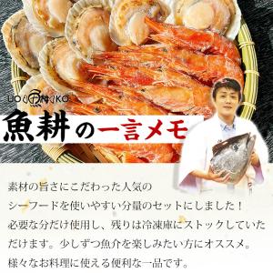 海鮮 バーベキュー セット 2種 20品 BB...の詳細画像5