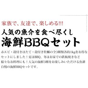海鮮 バーベキュー セット 3種 約3kg B...の詳細画像1