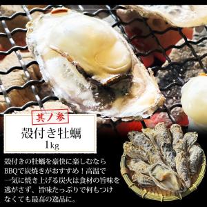 海鮮 バーベキュー セット 3種 約3kg B...の詳細画像4