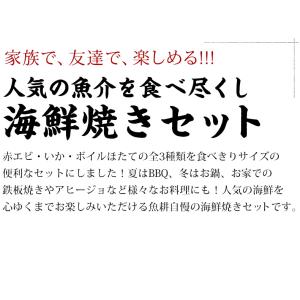海鮮 バーベキュー セット 3種 15品 BB...の詳細画像2