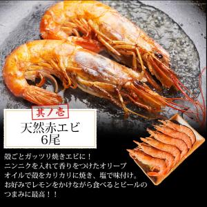 海鮮 バーベキュー セット 3種 15品 BB...の詳細画像3