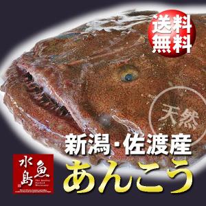 新潟・佐渡産 天然 あんこう アンコウ 一匹丸もの 3kg以上 送料無料