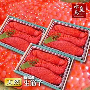 新潟産 生筋子(生いくら)季節限定「ずっしり大粒 生すじこ」...