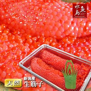 新潟産 生筋子（生いくら）季節限定「ずっしり大粒 生すじこ」 500g