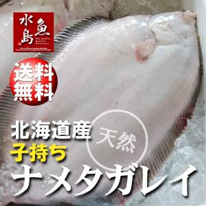 北海道産 天然 子持ちナメタガレイ 1.0〜1.3kg 3尾（生冷凍）送料無料｜uomizushima