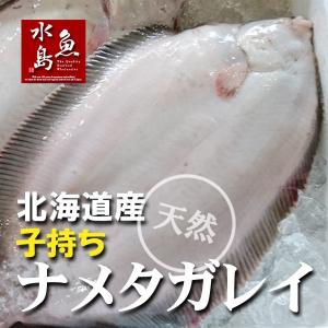 北海道産 天然 子持ちナメタガレイ 1.4〜1.8kg 1尾（生冷凍）｜uomizushima