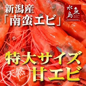 新潟産 甘エビ「南蛮エビ」鮮度抜群・刺身用 極上特大サイズ500g（冷凍）｜uomizushima