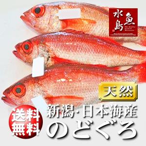 のどぐろ 新潟・日本海産 ノドグロ 1000g以上・3尾（生冷凍）送料無料｜uomizushima