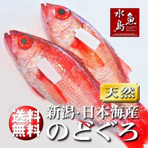 のどぐろ 新潟・日本海産 ノドグロ 700g以上・2尾（生冷凍）送料無料