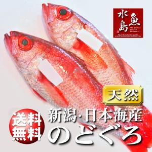 のどぐろ 新潟・日本海産 ノドグロ 800g以上・2尾（生冷凍）送料無料｜uomizushima